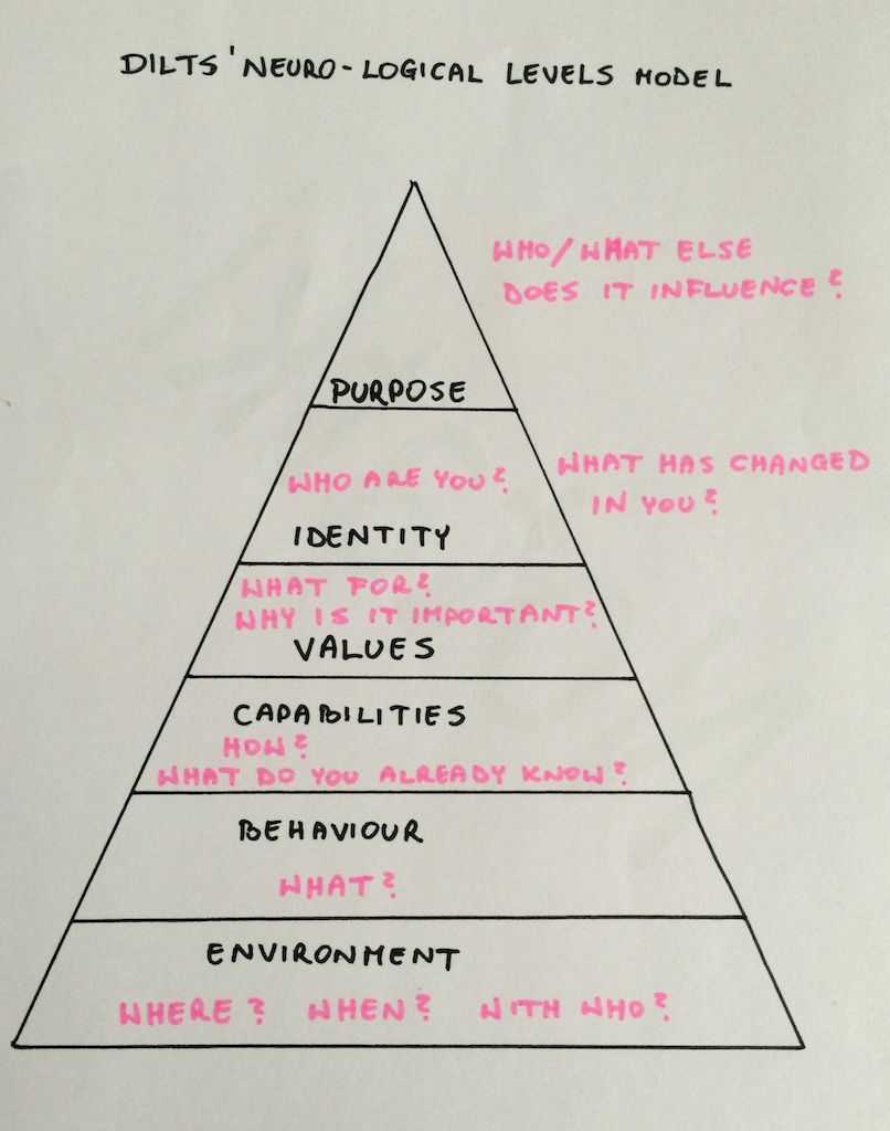 Dilts Neuro-Logical Levels Model