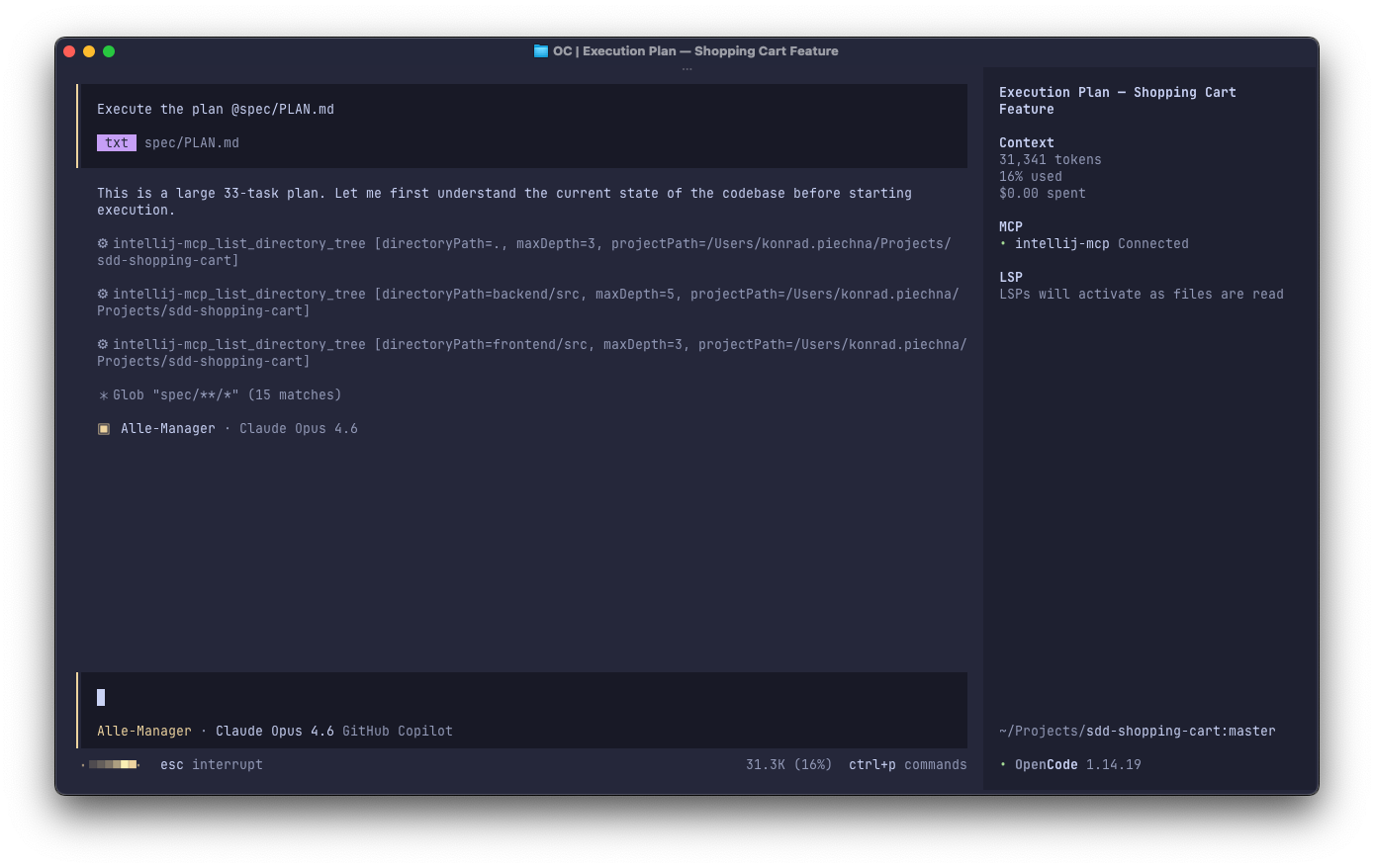 Executing the plan using AlleManager in OpenCode